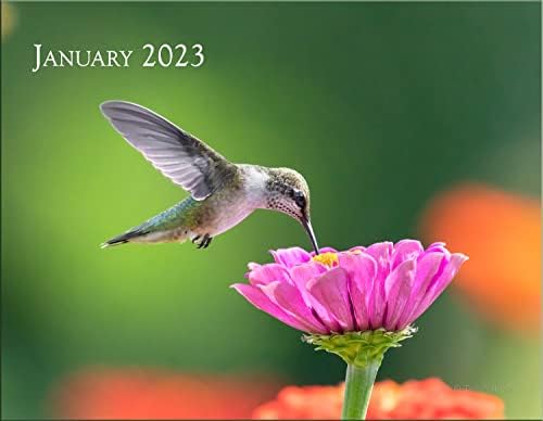 Трогографија Колибри 2023 Ѕиден Календар | Прекрасен Календар За Диви Животни, Повеќебојни