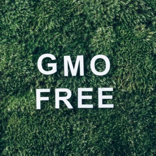 Мистични моменти | Есенцијално масло од лаванда Англиски 10мл - Чисто и природно масло за дифузери, ароматерапија и масажа мешавини вегански ГМО