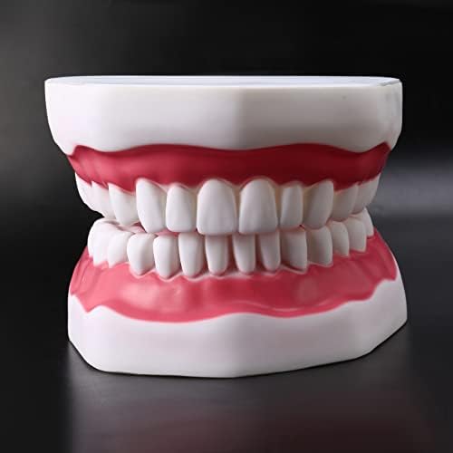 6 Човечки заби уста стоматолошка нега заб со настава по наука за наука за четки за заби
