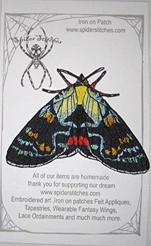 Јосиф палто молец пеперутка агариста Агрикола железо на лепенка инсекти бубачки