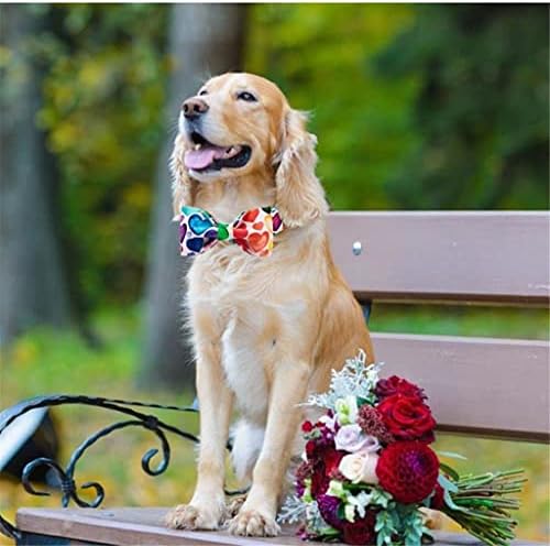 Hfdgdfk в Valentубена шарена јака од срце куче со лак вратоврска домашно кучиња јака за големо средно мало куче