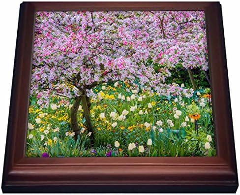 3drose trv_210032_1 Франција, Giverny Springtime Во Градината На Клод Моне Тривета со Керамичка Плочка, 8 x 8, Браун