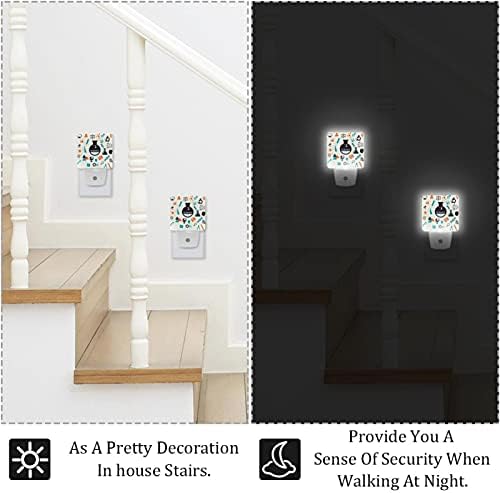 2 пакувања топло бело LED ноќно светлосно научни елементи со тест цевки со сензор за самракот до зори, компактна ноќна светлина идеално