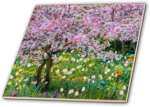 3drose ct_210032_1 Франција, Giverny Пролет во Клод Моне Градина Керамички Плочки, 4