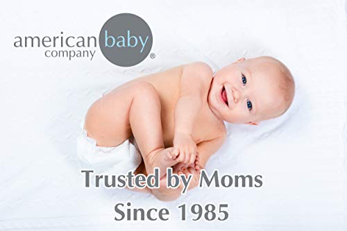 Американска компанија за бебиња Небесен мек Ченил ќебе сет, Греј, за момчиња и девојчиња