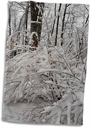 3DROSE TDSWHITE - Зимски сезонски фотографии на природата - Основно зимско утро - крпи