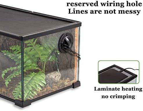 Кутија за хранење на инсекти, влекачи Terrarium terrarium кутија термостат кутија, стакло искачување на резервоарот за миленичиња