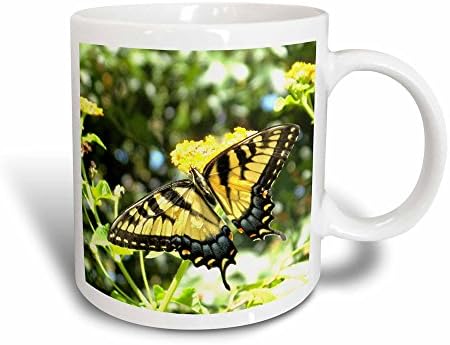 3DROSE Прекрасна чиста за фотографирање на пеперутка за ластовичка, 11oz, црна/жолта боја