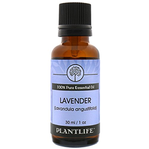 Есенцијално масло од ароматерапија со растителна лаванда - директно од растението чиста терапевтска оценка - без адитиви или