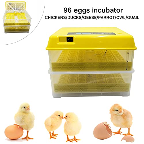 96 Дигитален Инкубатор За Јајца Со Автоматско Вртење И Температура На Јајцето, Контрола На Влажноста за Шрафирање Оплодени Јајца