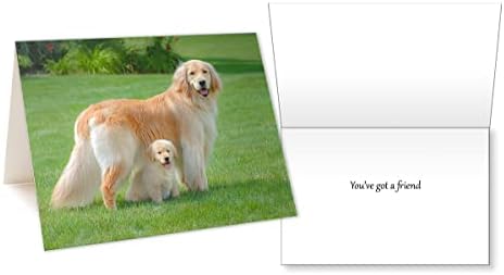 Поздравни картички на кучињата на Трог, Златна ретривер: Златна радост јас