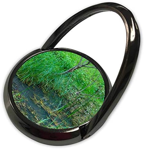 3Drose Alexis Photography - Вода од природа - трева, патка во езерцето. Мала дрво и зелена трева на брегот - Телефонски прстен