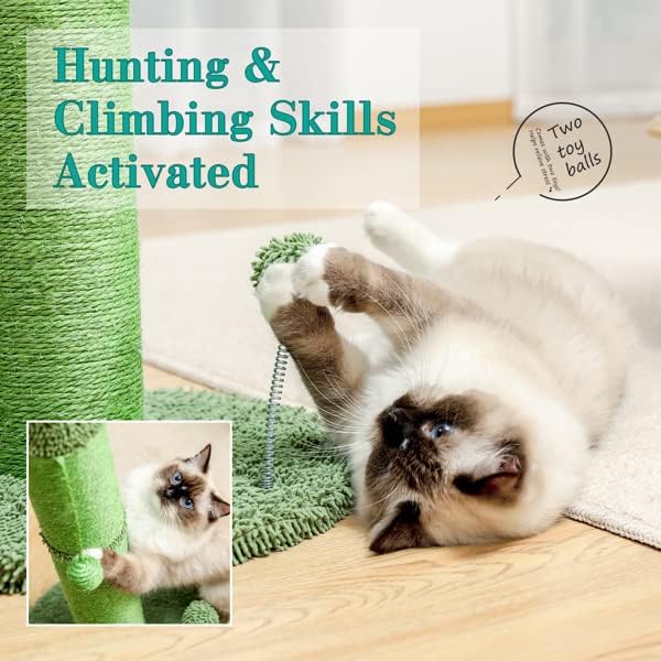 Кактус Мачка Дрво Мачка Гребење Со Сисал Гребење Пост И Интерактивни Висат Топката За Внатрешни Мачки Зелена