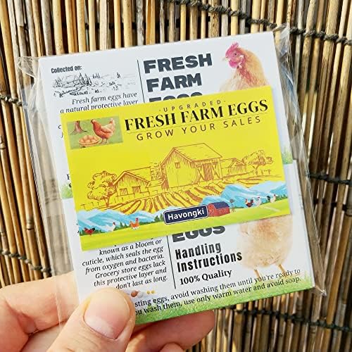 Havongki 100 пакет Премиум свежа фарма за ракување со јајца за ракување со додатоци за картички етикети | Јајца празно картони 4 6 12