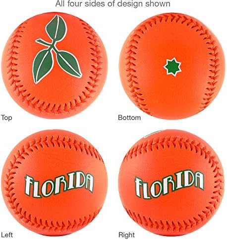 Уживајте во бејзбол од портокал Флорида Флорида