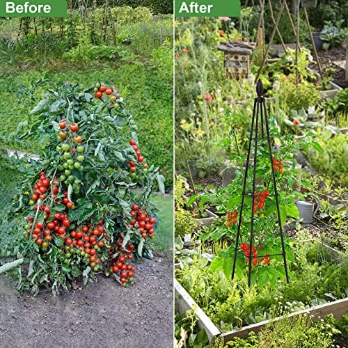 2 пакувања градинарски Обелиск Трелис за растенија за искачување, 4 -тина растителна тулис цвет од тулис домати кафези Поддршка за растенија