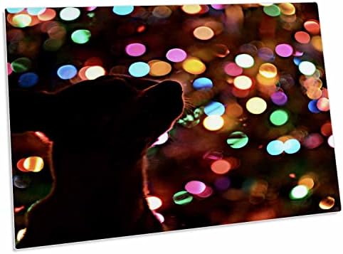 3дроза Куче Со Светла За Новогодишна Елка Во Позадина-Подлога За Биро Поставете Душеци