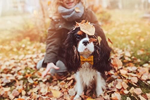 Мака Бејтс јака за кучиња со лак-прилагодливи лакови за кученца кучиња со метална јака од тока, Денот на благодарноста Денот на благодарноста