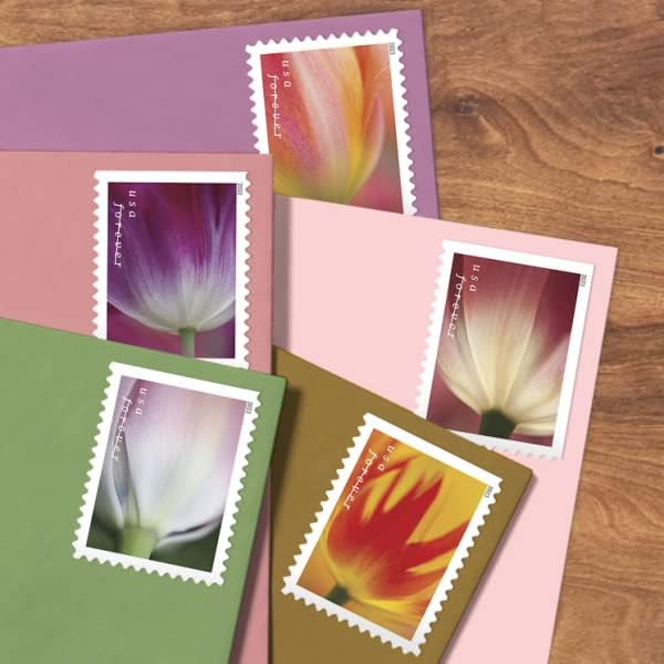 2023 Цвета на лалиња засекогаш марки за поштарина од прва класа
