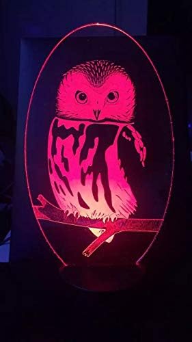 Jinnwell 3D Owl Eagle Animal Night Light Light Light илузија ноќна светлина 7 бојата Промена на допир прекинувач Табела за декорација на декорација на декорација на декорација на декорац?