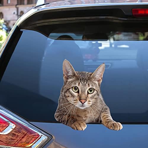 Американски Налепници за мачки со Кратка Коса, Налепници За Автомобилски Налепници Пакет Од 2-Реални Налепници За Автомобилски Налепници