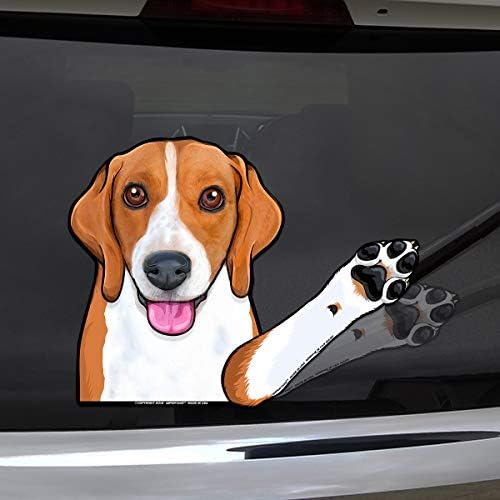 Бени Бигл куче мавтајќи со шепите со декорации за бришачи на задните возила