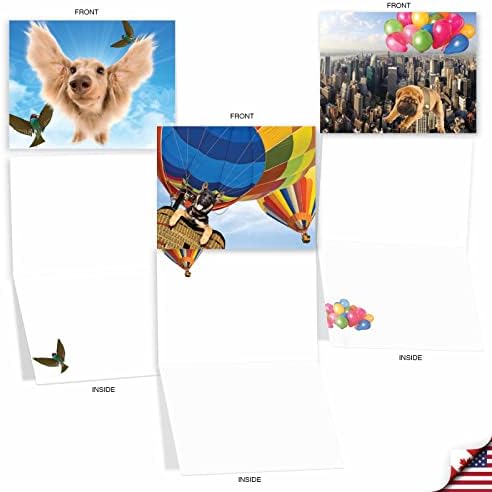 Најдобра компанија за картички - 10 картички за празно куче разновидна - симпатична картичка за белешки за животни за сите прилики - Летечкиот