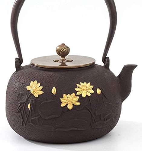 Креативна едноставност јапонски леано железо Тетсубин чајник од леано железо чајник Тетсубин чај котел јапонски класичен стил змеј