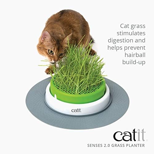 CatiT сетила 2,0 пластери за мачки трева, интерактивни играчки за мачки