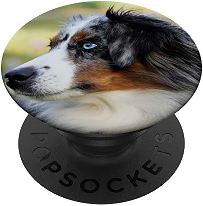 Австралиско овчарско сино мерле куче животно сино око popsockets popgrip: заменлива зафат за телефони и таблети