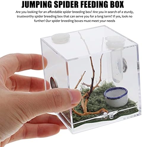 Скокање Пајак Јасна Кутија Кутија За Размножување Влекачи Со Клешти За Капење - Акрилен Кафез За Влекачи Пајак Терариум Мини