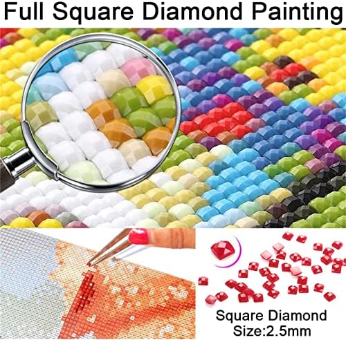 Дијамантски комплети за сликање за возрасни/деца 5D DIY дијамантска уметност боја со целосен квадратен дијамант уметност бела