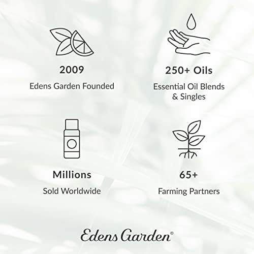 Еденс Градина Дише есенцијално масло 3 сет, најдобар чист респираторен комплет за ароматерапија, 10 ml
