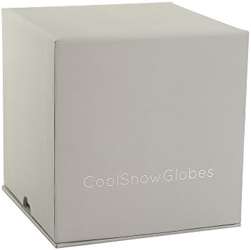 CoolsNowglobes New York Bity Bleck Cool Snow Globe