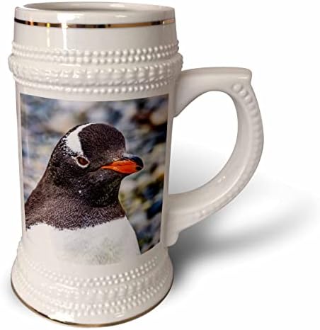 3dRose Gentoo Пингвин, Пристаништето Јенки, Островот Гринич, Антарктикот. - 22оз Штајн Кригла
