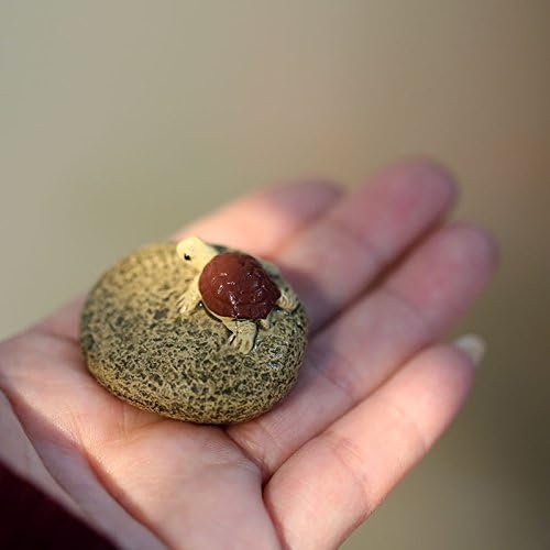 Кинеска јксирање чиста глина мини Зиша чај домашно милениче за украсување на камен