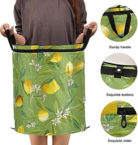 Лимон дрво Поп -дополнување на алиштата со преклопување на капакот за складирање на капакот за складирање на капакот за домашни простории за