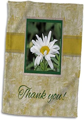 3drose Shasta Daisy Flower во прекрасна мека зелена и тен рамка, благодарам - крпи