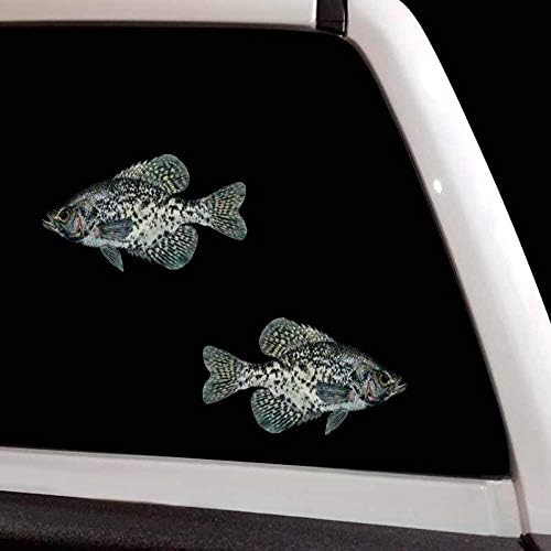 Црна риба од риба, поставен брод за риболов на автомобили, налепници на прозорецот за автомобили