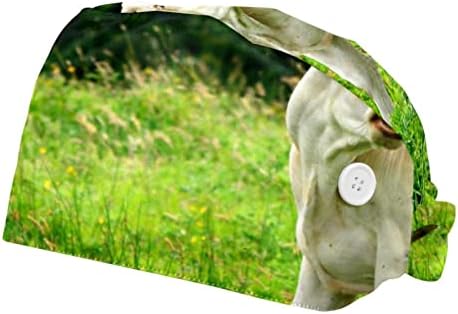 Womenенски и машки хируршко капаче Beagle Dog Беспрекорно-шета Работна капа со една големина повеќекратна боја