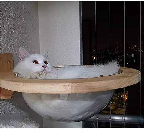 Слатиом wallид, про transparentиден капсула капсула мачки wallидни куќи мачки дрво дрвени мачки искачување рамка за маче кревети за миленичиња