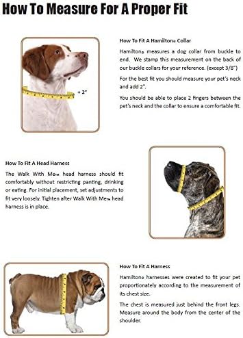 Хамилтон 3-лента 3/8 од 10 до 16-инчи прилагодлива лесна кучиња за кучиња, X-Small, Sky Blue