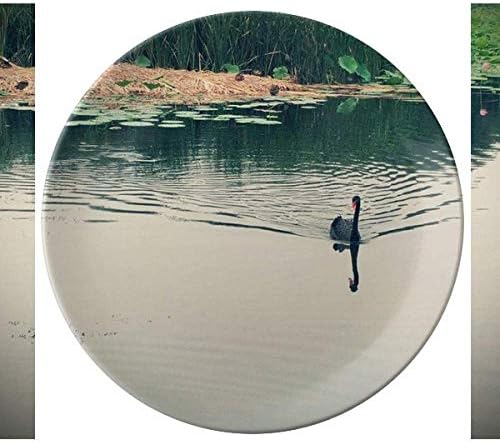 Диви патки езерото Плоча за фотографија Декоративна порцеланска салвер за сад за јадење вечера
