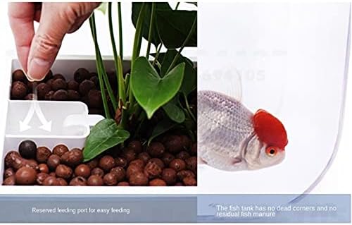 WSSBK чиста пластична резервоар за риби работна површина Еколошки аквариум за украсување во затворен простор