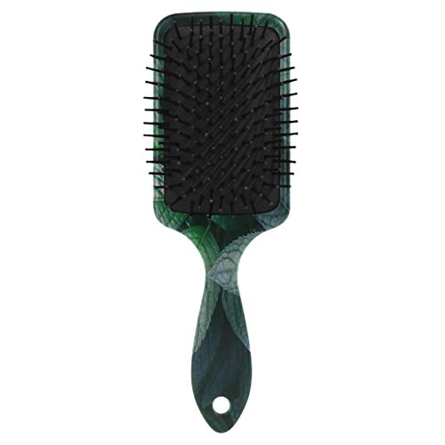 Четка за коса со перница од Vipsk, пластична разнобојна зелена лисја, соодветна добра масажа и анти статична четка за коса за коса за сува