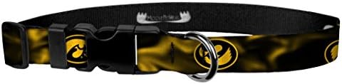 Moose Pet Wear Cood Cooke - Универзитет во Ајова Хокики прилагодливи јаки за домашни миленици, направени во САД - ширина 1 инч, голем, златен чад јастреб