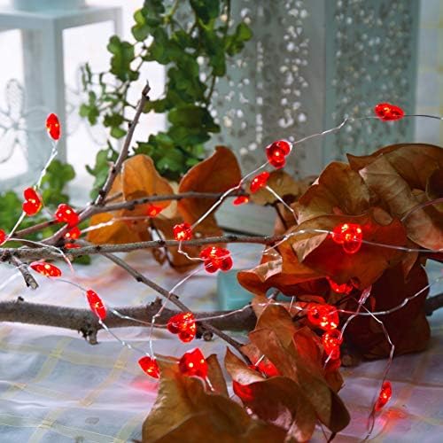 Memgnan Valentine Fairy Decorative Lights 10ft 40leds црвени срцеви светла светла батерии напојувани светла со тајминг за денот