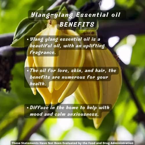 чисто есенцијално масло од ylang ylang - масло од ароматерапија од терапевтско одделение за релаксација и удобност