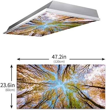 Шумско дрво 2ft x 4ft капки тавани флуоресцентни декоративни тавански светло покритие - крошна гранки Врвно зеленило - филтер за филм