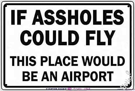 Нов уличен знак метал знак за калај/ако розовите би можеле да летаат ова место би бил аеродром смешен безбедносен знак на отворено предупредување